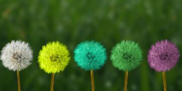 Restful Nights: Harnessing the Power of Mindfulness for Deep Sleep