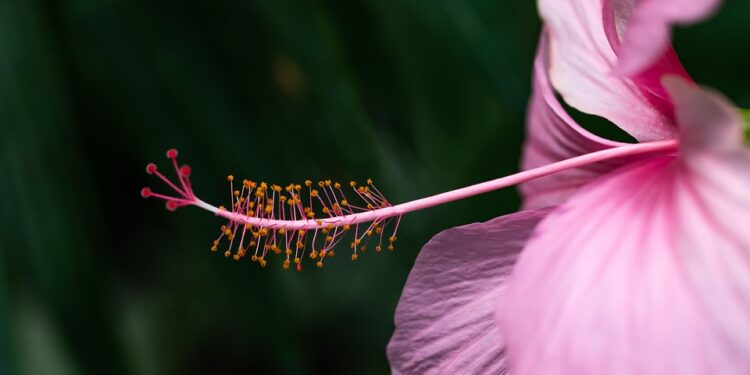 The Power of Silence: Unlocking Inner Peace through Meditation