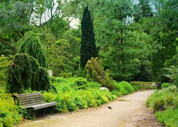 Unlocking the Power Within: Essential Healthy Mind Practices for a Fulfilling Life