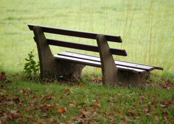 Reconnect and Reflect: Finding Peace and Presence at a Mindfulness Retreat