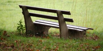 Reconnect and Reflect: Finding Peace and Presence at a Mindfulness Retreat