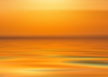 Unlocking the Power of Mindfulness: How Meditation Can Transform Your Life