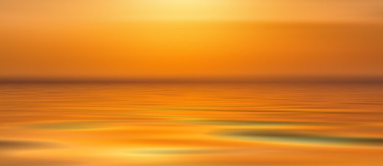 Unlocking the Power of Mindfulness: How Meditation Can Transform Your Life