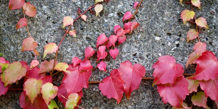 The Power of Self-Compassion: How Kindness Towards Yourself Can Transform Your Life